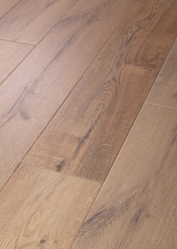 Sand Dollar Oak