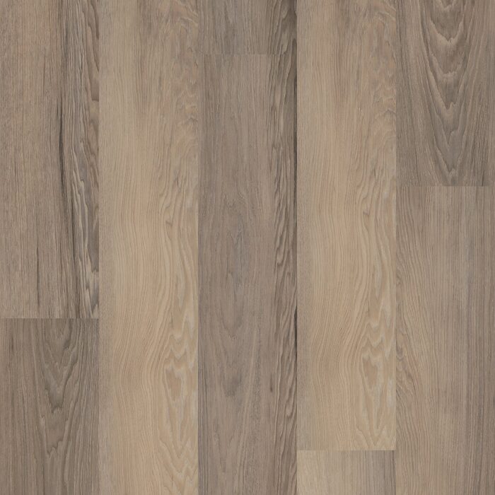 Salton Chestnut