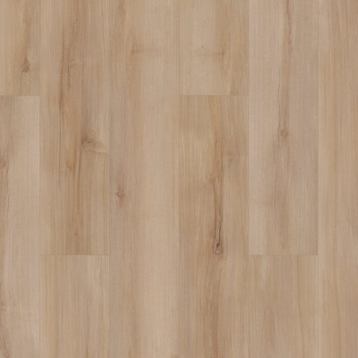 Lucent Oak