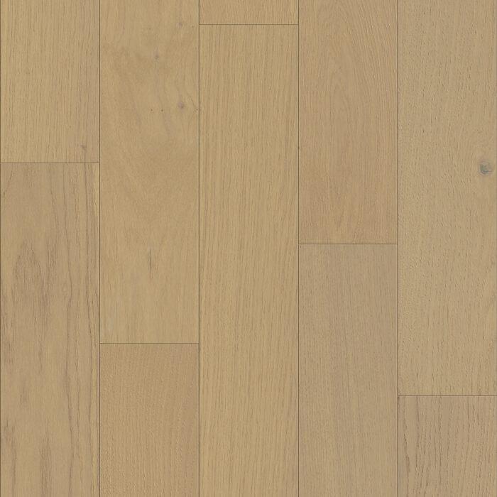Fifth Avenue Oak - Carnegie