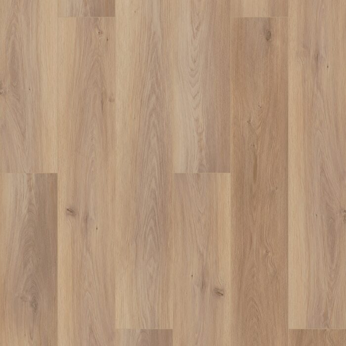 Wiltshire Oak