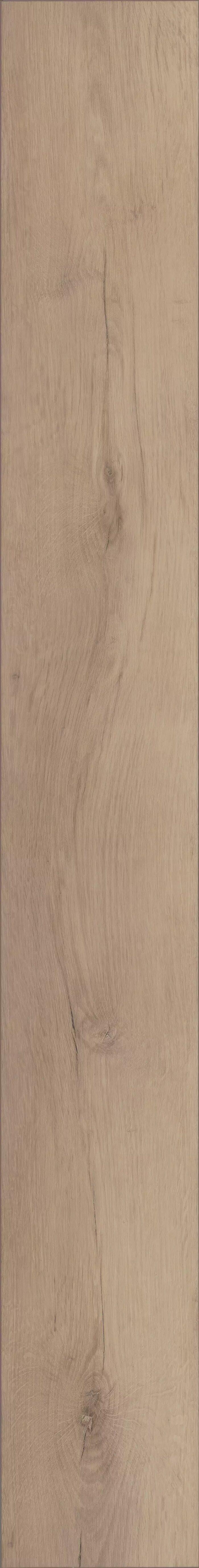 Madrid Oak