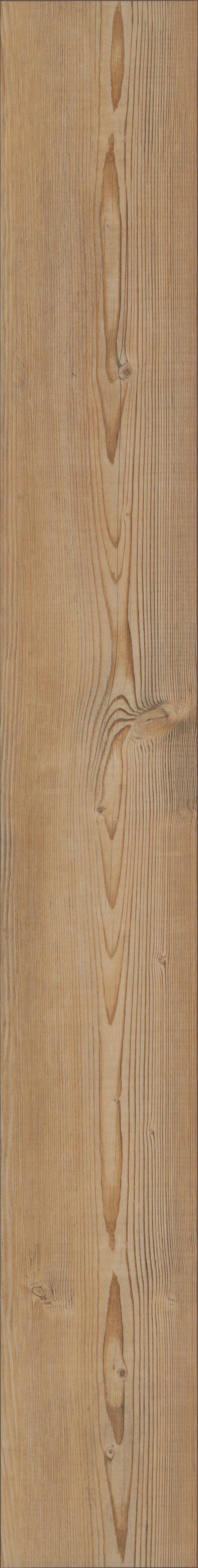 Berlin Pine