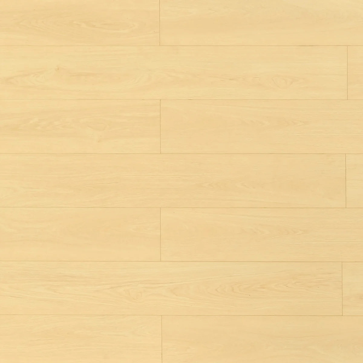 Toucan Flooring Laminate 81 Series - Dune