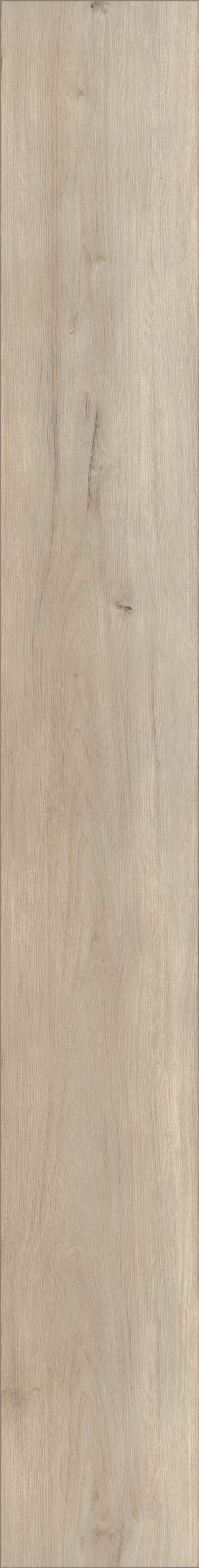 Capetown Maple