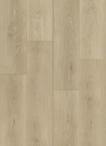 6 Collection - 610