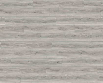11 Collection - Silver Mist