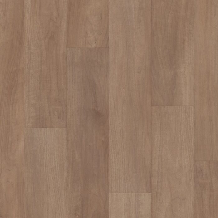Tawny Beech