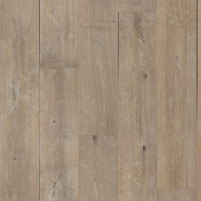 Sorrel Oak