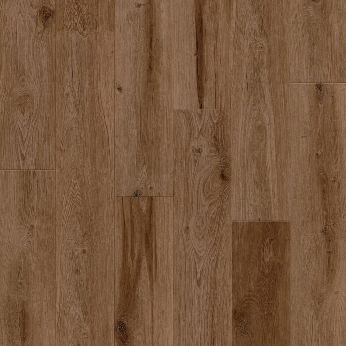 Cinnamon Bark Oak