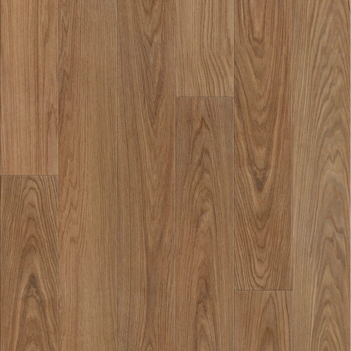 Canyon Oak