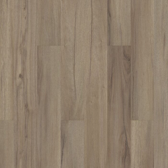 Baywood Oak