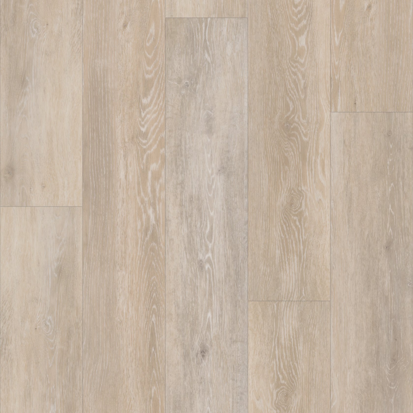 Ivory Coast Oak