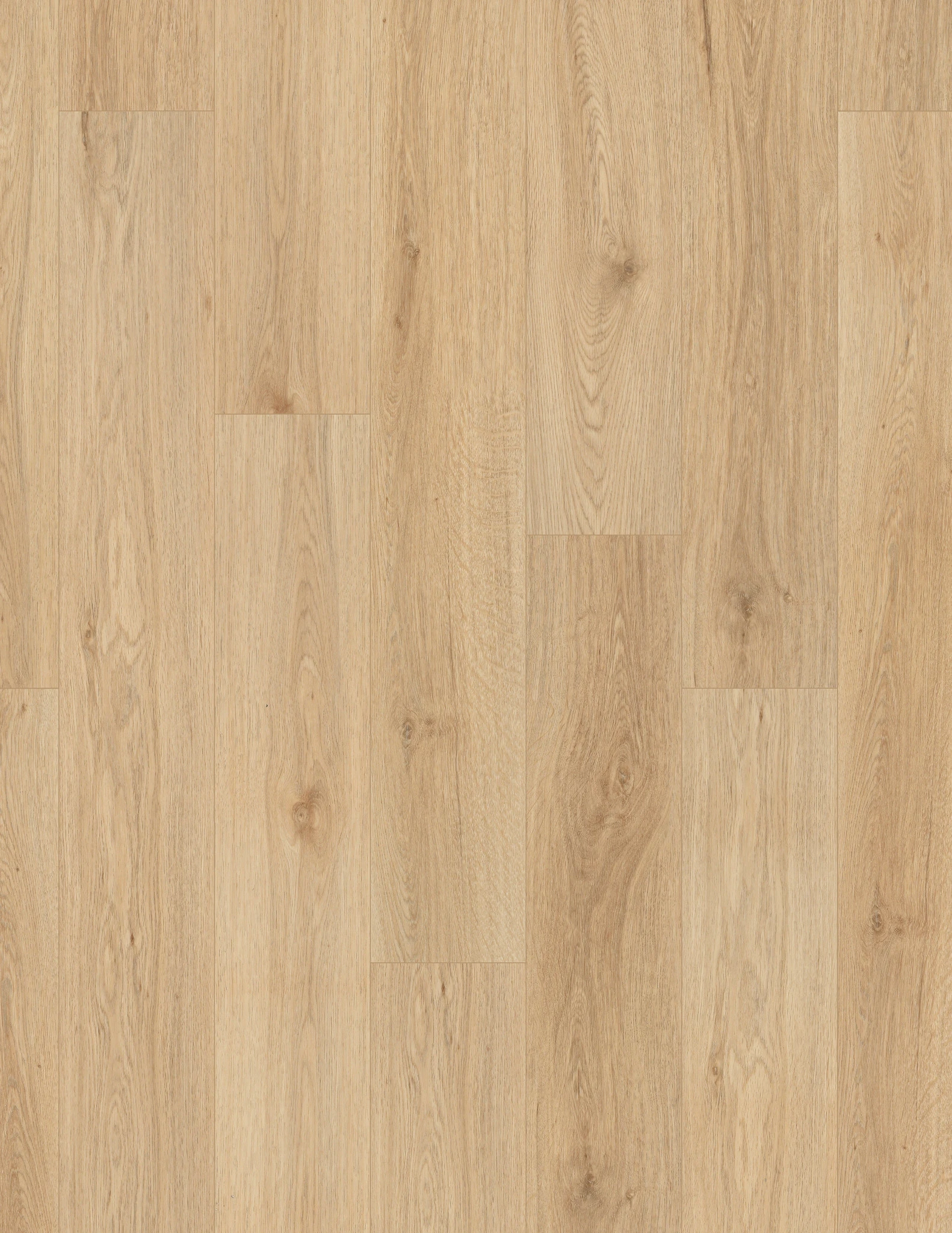 Biscayne Oak